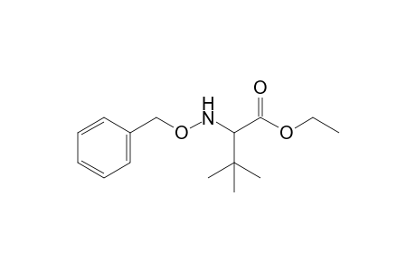3,3-Dimethyl-2-(phenylmethoxyamino)butanoic acid ethyl ester