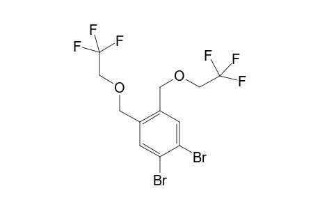 1,2-Dibromo-4,5-bis(1,1,1-trifluoroethoxymethyl)benzene