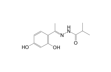 N'-[(E)-1-(2,4-dihydroxyphenyl)ethylidene]-2-methylpropanohydrazide