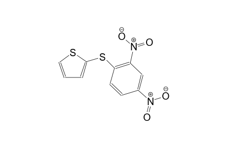 2-[(2,4-dinitrophenyl)sulfanyl]thiophene