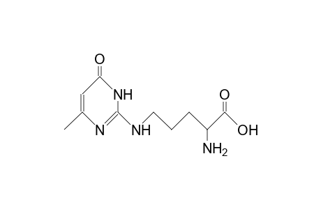 N.delta.-(4-Methyl-6-oxo-1,6-dihydro-2-pyrimidinyl)ornithine