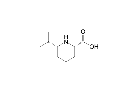 (2S,6R)-6-isopropylpipecolinic acid