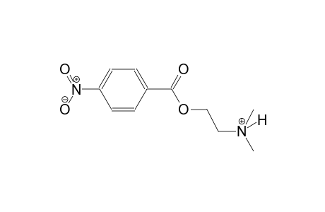 N,N-dimethyl-2-[(4-nitrobenzoyl)oxy]ethanaminium