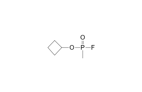 Cyclobutyl methylphosphonofluoridoate