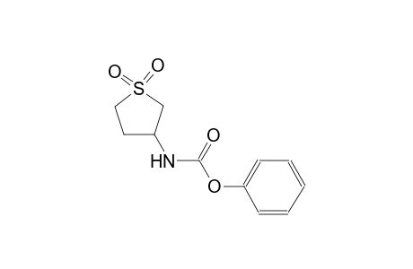 phenyl 1,1-dioxidotetrahydro-3-thienylcarbamate