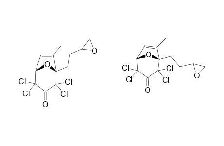 2,2,4,4-TETRACHLORO-1-(3,4-EPOXYBUTYL)-7-METHYL-8-OXABICYCLO-[3.2.1]-OCT-6-EN-3-ONE