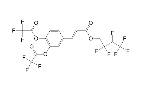 Caffeic acid, o,o'-bis(trifluoroacetyl)-, 2,2,3,4,4,4-hexafluorobutyl ester