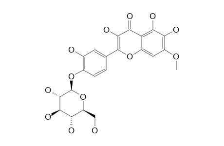 QUERCETAGETIN-7-METHYLETHER-4'-O-BETA-D-GLUCOPYRANOSIDE