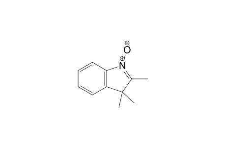 2,3,3-trimethyl-1-oxidanidyl-indol-1-ium