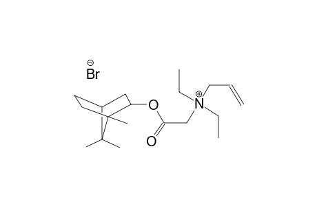 2-propen-1-aminium, N,N-diethyl-N-[2-oxo-2-[(1,7,7-trimethylbicyclo[2.2.1]hept-2-yl)oxy]ethyl]-, bromide