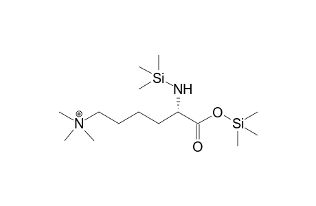 N-epsilon-trimethyllysine, 2TMS