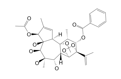 TRIGONOTHYRIN-G