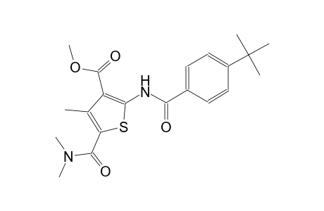 methyl 2-[(4-tert-butylbenzoyl)amino]-5-[(dimethylamino)carbonyl]-4-methyl-3-thiophenecarboxylate
