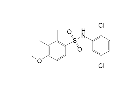 Benzenesulfonamide, N-(2,5-dichlorophenyl)-4-methoxy-2,3-dimethyl-