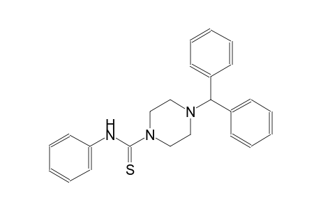 4-benzhydryl-N-phenyl-1-piperazinecarbothioamide