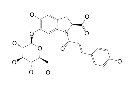 OLERACEIN_A;5-HYDROXY-1-PARA-COUMARIC_ACYL-2,3-DIHYDRO-1-H-INDOLE-2-CARBOXYLIC_ACID-6-O-BETA-D-GLUCOPYRANOSIDE