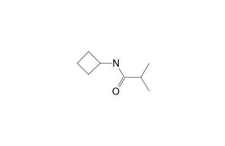 Cyclobutylamine, N-(2-methylpropionyl)-