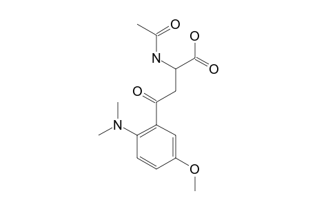 2-ACETAMIDO-4-(5-METHOXY-2-DIMETHYLAMINOPHENYL)-4-OXOBUTYRIC-ACID