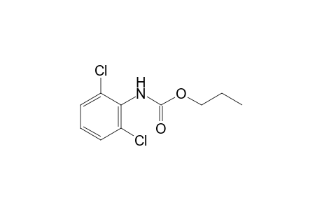 2,6-dichlorocarbanilic acid, propyl ester