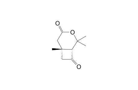 (1R,6S)-2,2,6-TRIMETHYL-3-OXABICYCLO-[4.2.0]-OCTAN-4,8-DIONE