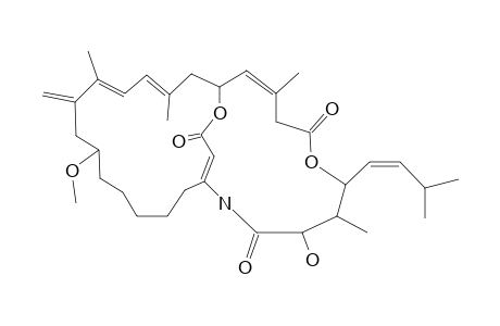 AMPHILACTAM-D