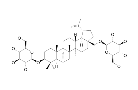 28-O-BETA-D-GLUCOPYRANOSYLBETULIN_3-BETA-O-BETA-D-GLUCOPYRANOSIDE