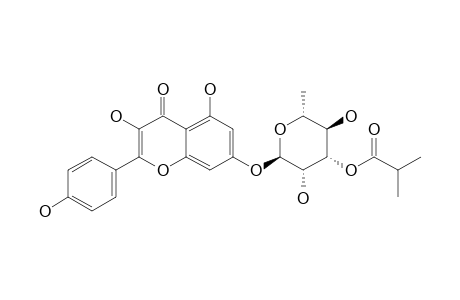 SINOCRASSOSIDE-A1;KAEMPFEROL-7-O-ALPHA-L-(3''-ISOBUTYRYL)-RHAMNOPYRANOSIDE