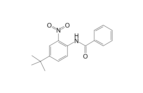 N-(4-tert-Butyl-2-nitrophenyl)benzamide