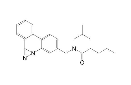 DP-2;N-(DIAZIRINO-[1.3-F]-PHENANTHRIDIN-4-YLMETHYL)-N-ISOBUTYLPENTANAMIDE