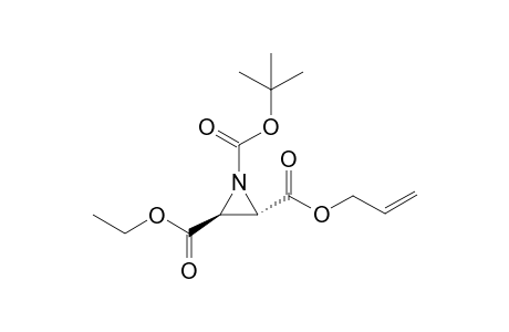 (S,S)-2-Allyl-1-tert-butyl-3-ethyl aziridine-1,2,3-tricarbixylate