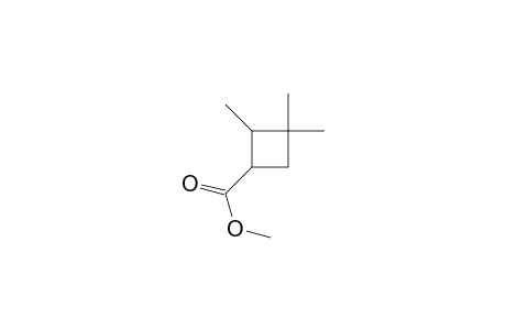 Methyl 2,3,3-trimethylcyclobutanecarboxylate