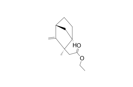 ETHYL-EXO-(2-METHYL-3-METHYENELBICYClO-[2.2.1]-HEPTANE)-2-ACETATE