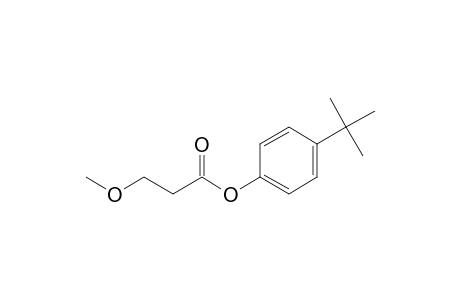 p-tert-butylphenyl ester of3-methoxypropionic acid