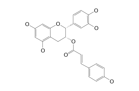 MALAFERIN-B;(-)-EPICATECHIN-3-O-(E)-COUMARATE