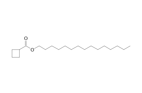 Cyclobutanecarboxylic acid, pentadecyl ester