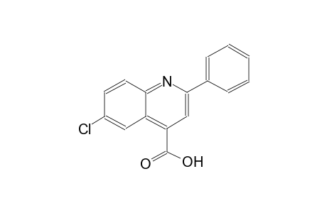 6-chloro-2-phenyl-4-quinolinecarboxylic acid