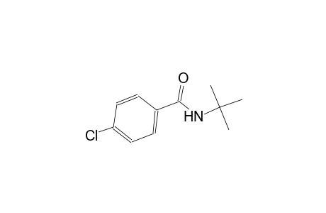 benzamide, 4-chloro-N-(1,1-dimethylethyl)-