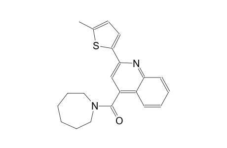 4-(hexahydro-1H-azepin-1-ylcarbonyl)-2-(5-methyl-2-thienyl)quinoline