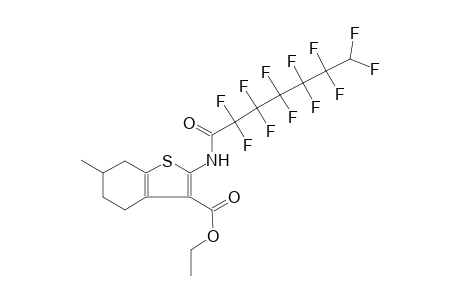 ethyl 2-[(2,2,3,3,4,4,5,5,6,6,7,7-dodecafluoroheptanoyl)amino]-6-methyl-4,5,6,7-tetrahydro-1-benzothiophene-3-carboxylate