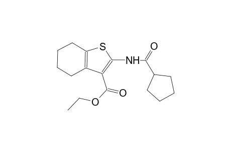 ethyl 2-[(cyclopentylcarbonyl)amino]-4,5,6,7-tetrahydro-1-benzothiophene-3-carboxylate