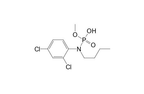 Methyl ester of butyl-2,4-dichlorophenyl-phosphoramidic acid