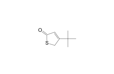 4-(t-Butyl)-2(5H)-thiophenone