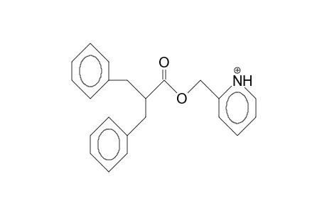 2-Benzyl-3-phenyl-propionic acid, 2-pyridinium-methyl ester cation