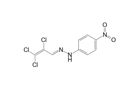 N-(2,3,3-Trichloroallylidene)-N'-(4-nitrophenyl)hydrazine