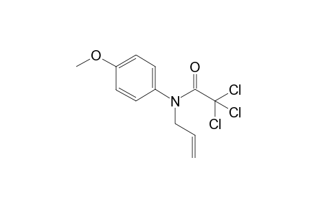 N-Allyl-2,2,2-trichloro-N-(4-methoxyphenyl)acetamide