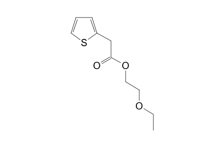 Thiophene-2-acetic acid, 2-ethoxyethyl ester