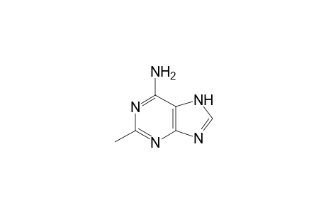 2-methyladenine