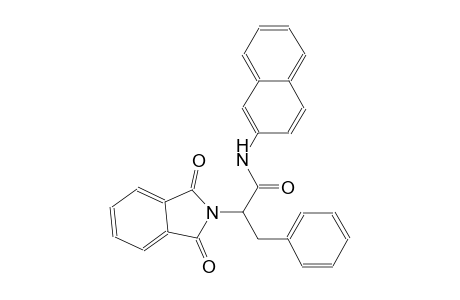 2-(1,3-dioxo-1,3-dihydro-2H-isoindol-2-yl)-N-(2-naphthyl)-3-phenylpropanamide