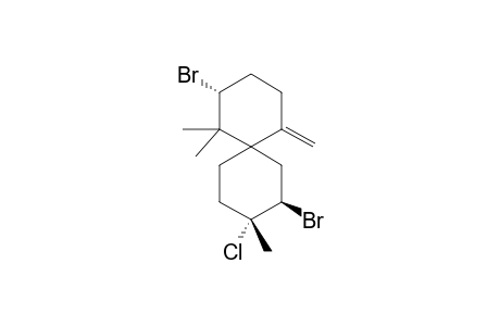 Nidificene