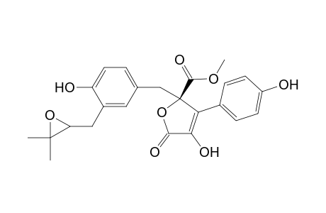 Butyrolactone III [3-Hydroxy-5-[4-hydroxy-3-(2,3-epoxy-3-methylbutyl)benzyl]-4-(4-hydroxyphenyl)-5-methoxycarbonyl-(5R)-2,5-dihydro-2-furanone]